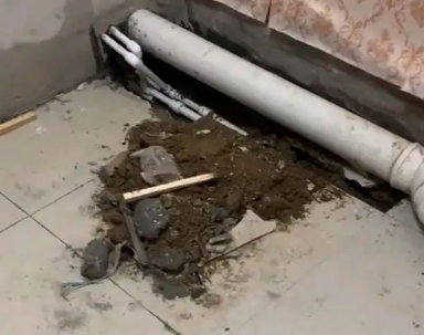 洛南卫生间漏水检测哪家好