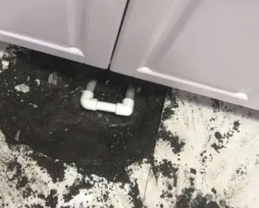 洛南查漏水哪家好